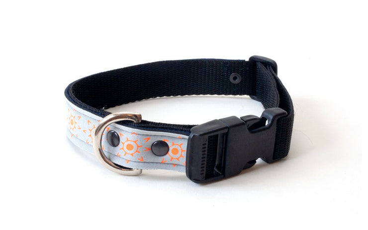 Neoprene Dog Collar: Sun God - Absurd Design