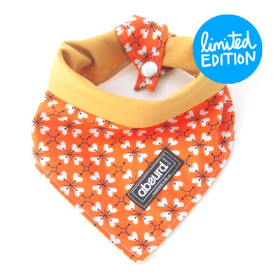 Fun Dog Bandana: HayRide