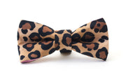 Luxury animal print dog dickie bow 