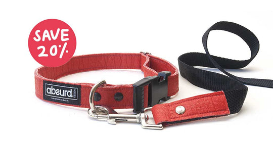 Vegan Leather Dog Set